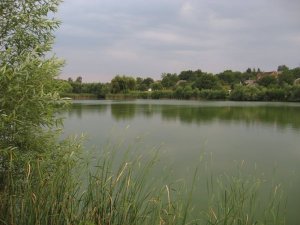 Водоём для спортивной рыбалки Поплавок в с. Монастырище Черкасской области
