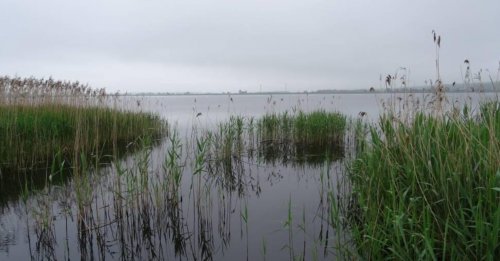 Водохранилище Гамалиевка в Львовской области