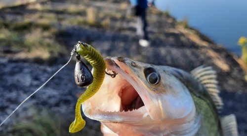 Водохранилище Гамалиевка в Львовской области