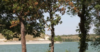 Рыбалка на Альминском водохранилище