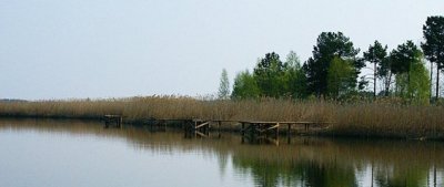 baza-liman-oshitki-v-kievskoj-oblasti_f