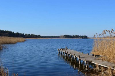 35838292_645023902499506_2230860675591176192_n