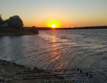 Рыбалка на Альминском водохранилище