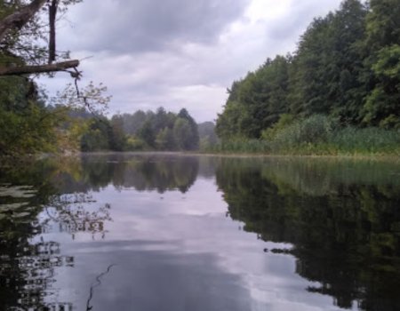 Рыбалка на базе "Сова Лісова" в Полтавской области