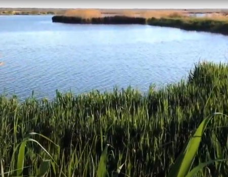 Риболовля на ставку Варварівка в Дніпропетровській області