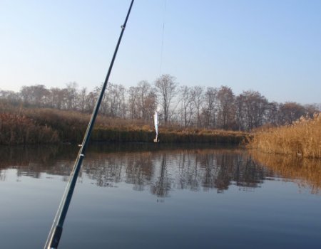 Рибалка у місті Гуляйполе, Запорізька область