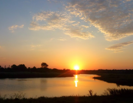 Рибалка у селі Григорівка Запорізький р-н. Запорізька обл.