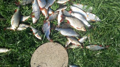 Рибалка на Якимівських ставкахкимовском ставке (ЧП 