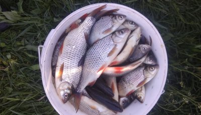 Рибалка на Якимівських ставках