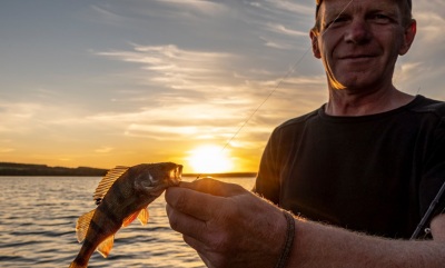 Риболовля на базу відпочинку «GOL&Wood» у селі Степашки, Вінницької області