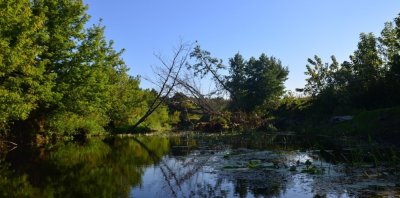 Рыбалка на базе «Буймеровка»