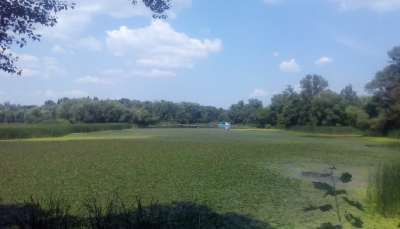 Рыбалка на базе отдыха: Киеврыбхоз