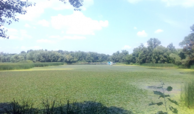 Рыбалка на базе отдыха: Киеврыбхоз