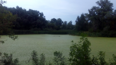 Рыбалка на базе отдыха: Киеврыбхоз