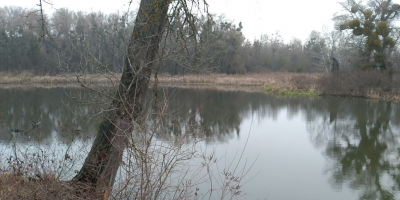 Рыбалка на базе отдыха: Киеврыбхоз