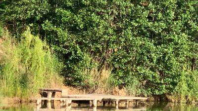 Рыбалка на базе отдыха: Три гусака