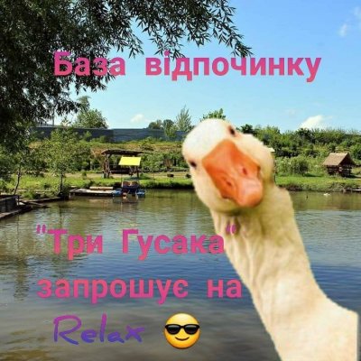 Рыбалка на базе отдыха: Три гусака