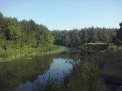 Рыбалка на базе 