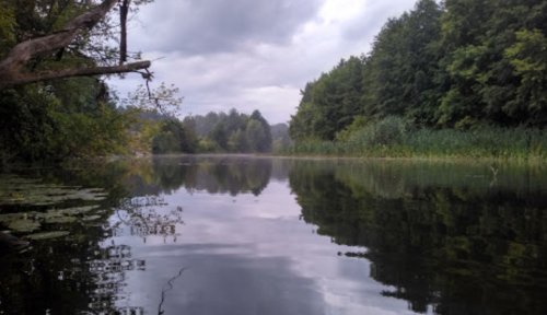 Рыбалка на базе 