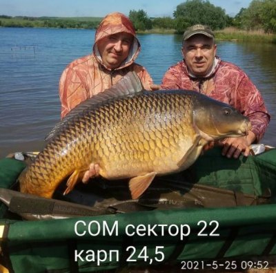 Рыбалка на Медвежанском пруду «Медвежка»