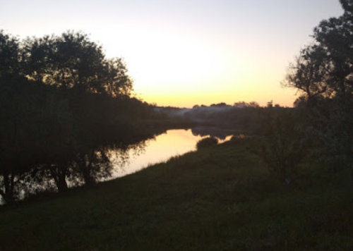 Рибалка на Михайлівському ставку Вільнянський р-н. Запорізька обл.