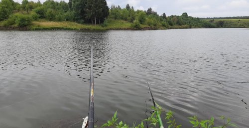 Риболовля на озері «Ельфійське» - Сумська область