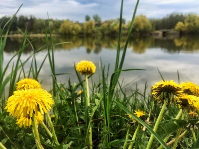 Рыбалка на озере Слободка в Киевской области