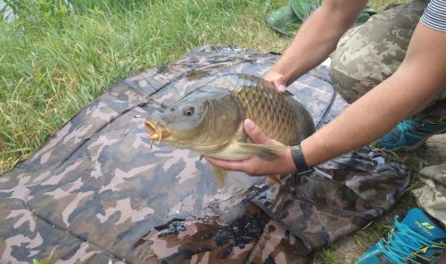 Рибалка на озері Солтанівка