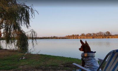Рыбалка на Петродолинском ставке 