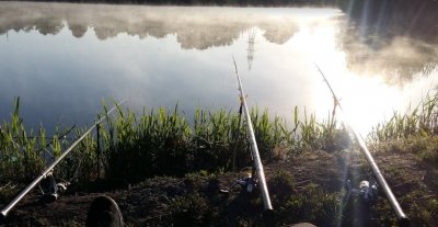Рыбалка на Петродолинском ставке 
