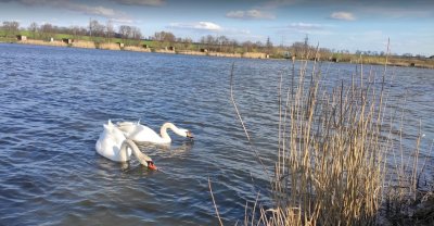 Рыбалка на Петродолинском ставке 