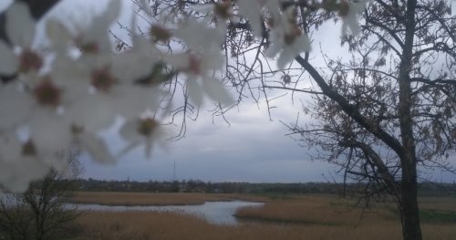 Риболовля на річці Велика Білозерка