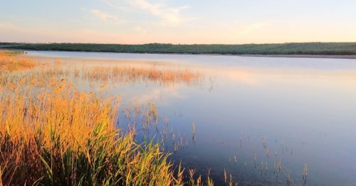 Риболовля на річці Велика Білозерка