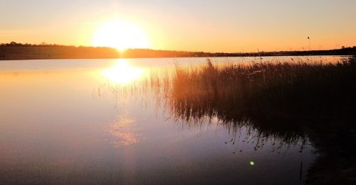 Риболовля на річці Велика Білозерка