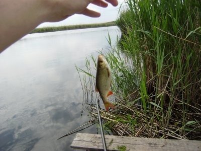 Рыбалка на реке Ингул в Николаевской области