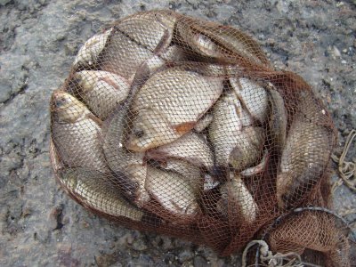 Рыбалка на реке Ингул в Николаевской области