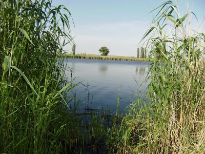 Рыбалка на реке Ингул в Николаевской области