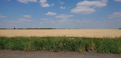 Риболовля на річці Кам'янка