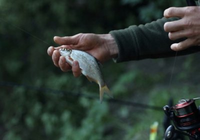 Рыбалка на реке Сейм в Сумской области