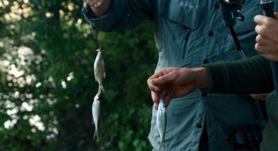 Рыбалка на реке Сейм в Сумской области