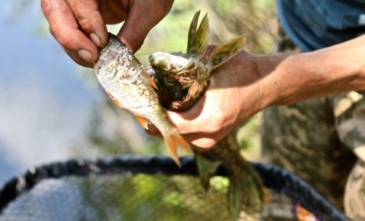 Рыбалка на реке Сейм в Сумской области