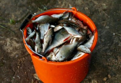 Рыбалка на реке Сейм в Сумской области