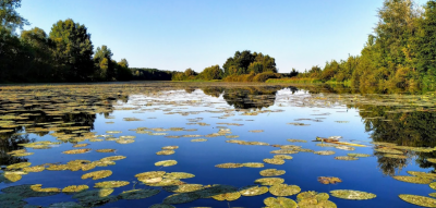 Рыбалка на реке Сейм в Сумской области