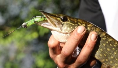 Рыбалка на реке Сейм в Сумской области