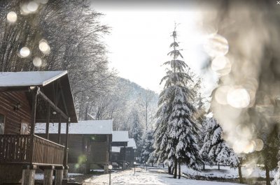 Рибалка на Рибній Фермі у «Воєводиному»