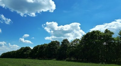 Рыбалка на Садовском ставке №3 