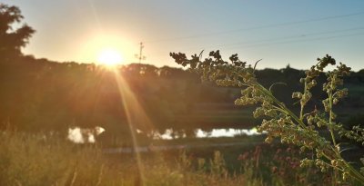 Рыбалка на Садовском ставке №3 