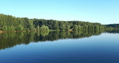 Рыбалка на Садовском ставке №3 