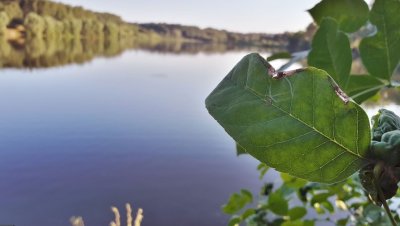 Рыбалка на Садовском ставке №3 
