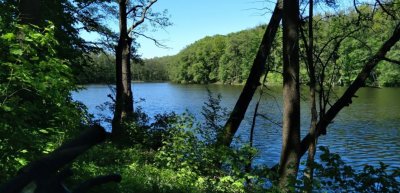 Рыбалка на Шелеховском озере